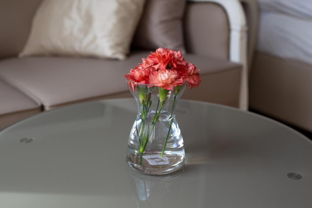 Sofie Apartments Vienna Room photo